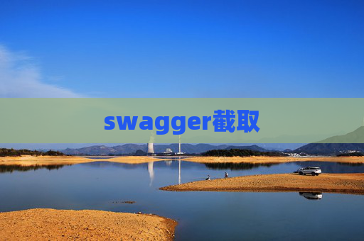 swagger截取